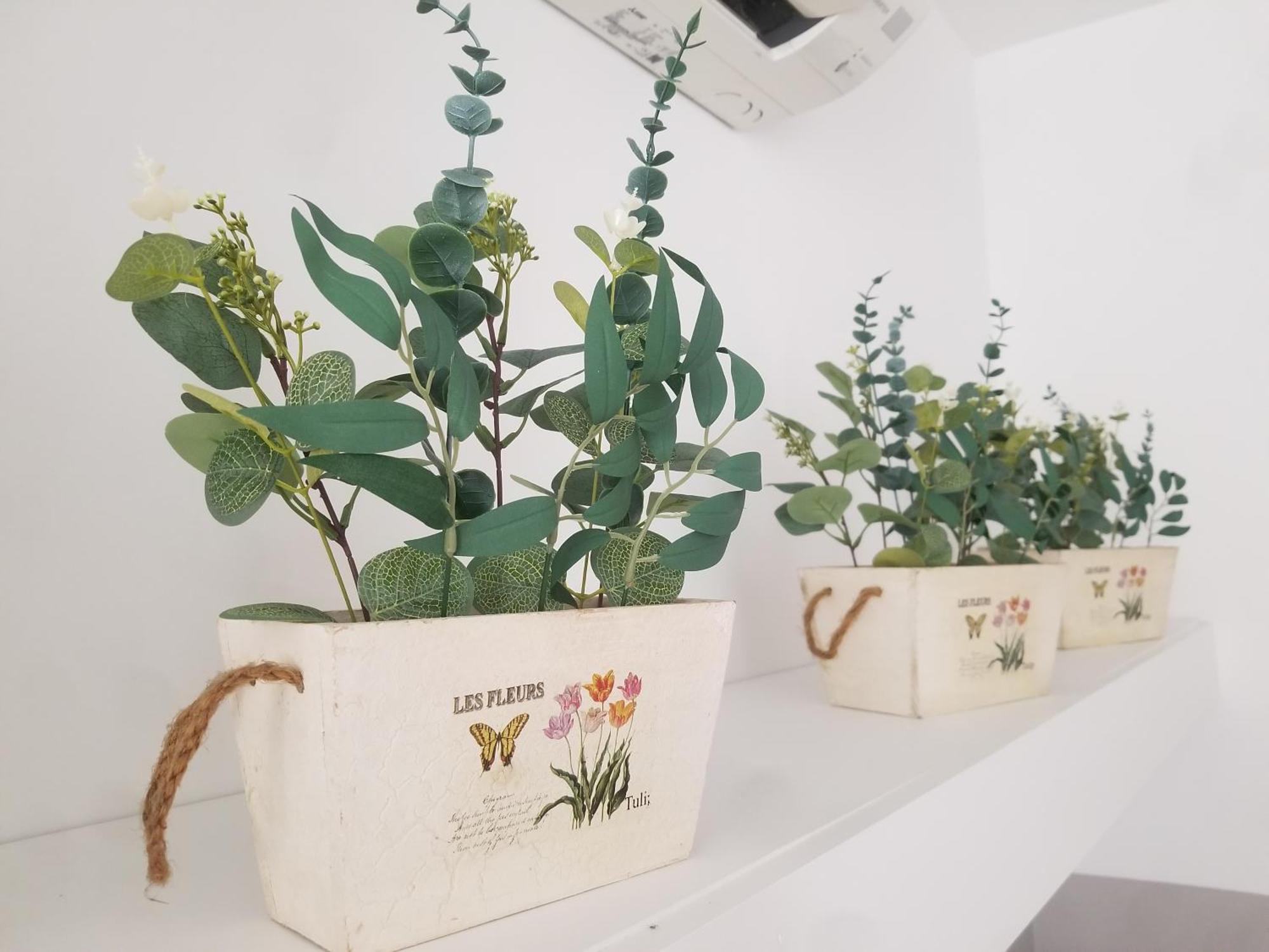 Joli T2 De 40M² A Louer A Le Muy Διαμέρισμα Εξωτερικό φωτογραφία